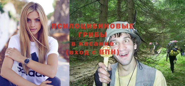 спиды Богородск