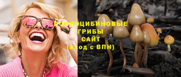 спиды Богородск